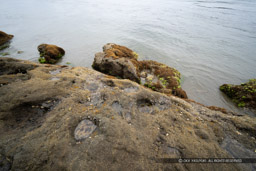 来島城の岩礁ピット｜高解像度画像サイズ：8192 x 5464 pixels｜写真番号：344A3987｜撮影：Canon EOS R5
