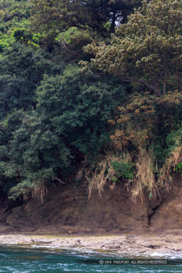 来島城の東側に残る階段跡｜高解像度画像サイズ：3107 x 4660 pixels｜写真番号：IMG_4692｜撮影：Canon EOS 6D