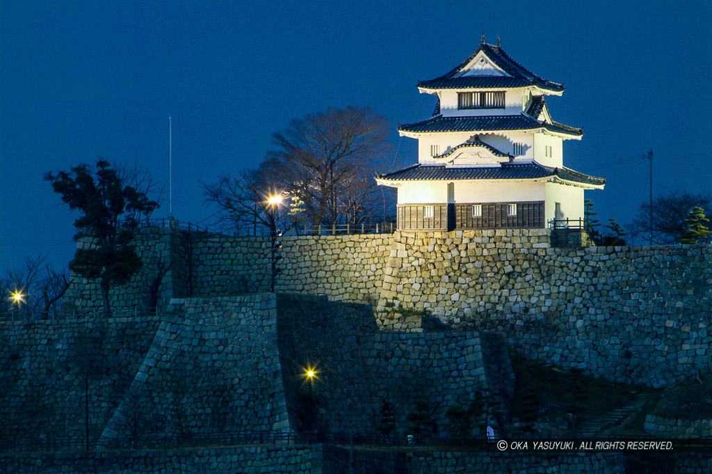 丸亀城ライトアップ