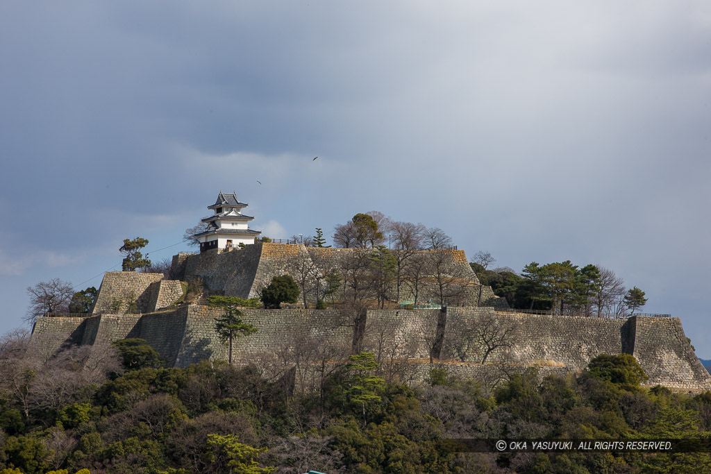 亀山に築かれた丸亀城