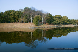 内堀｜高解像度画像サイズ：4064 x 2704 pixels｜写真番号：100-8075S53B｜撮影：Canon EOS-1DS