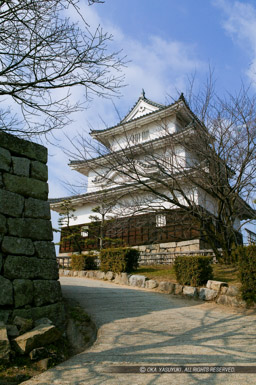 本丸虎口から丸亀城天守|高解像度画像サイズ:2704 x 4064 pixels|写真番号:100-8275S53B|撮影:Canon EOS-1DS