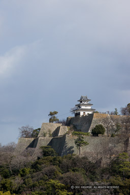 亀山に築かれた丸亀城｜高解像度画像サイズ：3674 x 5511 pixels｜写真番号：1P3J0558｜撮影：Canon EOS-1Ds Mark III