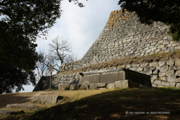 三の丸井戸｜高解像度画像サイズ：5616 x 3744 pixels｜写真番号：1P3J0616｜撮影：Canon EOS-1Ds Mark III