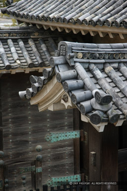 大手二の門｜高解像度画像サイズ：3744 x 5616 pixels｜写真番号：1P3J0791｜撮影：Canon EOS-1Ds Mark III