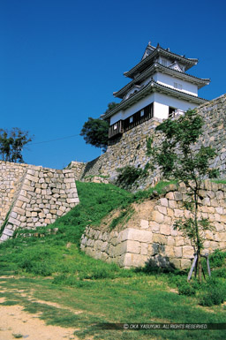 二の丸北虎口と丸亀城天守｜高解像度画像サイズ：4453 x 6697 pixels｜写真番号：Positive_film10｜撮影：