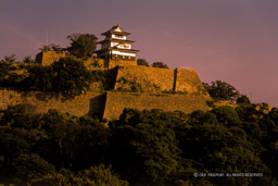 三の丸石垣と本丸石垣・丸亀城天守｜高解像度画像サイズ：6790 x 4535 pixels｜写真番号：Positive_film19｜撮影：