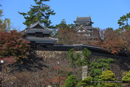 三の丸御殿跡から望む・南櫓・天守閣｜高解像度画像サイズ：5370 x 3580 pixels｜写真番号：1P3J1492｜撮影：Canon EOS-1Ds Mark III