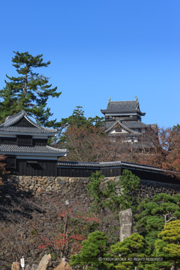 三の丸御殿跡から望む・南櫓・天守閣｜高解像度画像サイズ：3246 x 4869 pixels｜写真番号：1P3J1493｜撮影：Canon EOS-1Ds Mark III