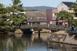 宇賀橋｜高解像度画像サイズ：5616 x 3744 pixels｜写真番号：1P3J1546｜撮影：Canon EOS-1Ds Mark III