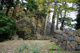 西ノ門跡｜高解像度画像サイズ：5616 x 3744 pixels｜写真番号：1P3J2321｜撮影：Canon EOS-1Ds Mark III