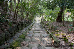 西ノ門への登城路｜高解像度画像サイズ：5616 x 3744 pixels｜写真番号：1P3J2340｜撮影：Canon EOS-1Ds Mark III