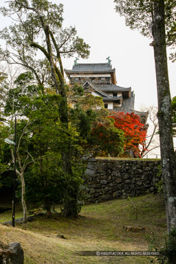 水ノ手門跡から望む天守｜高解像度画像サイズ：3570 x 5356 pixels｜写真番号：1P3J2351｜撮影：Canon EOS-1Ds Mark III