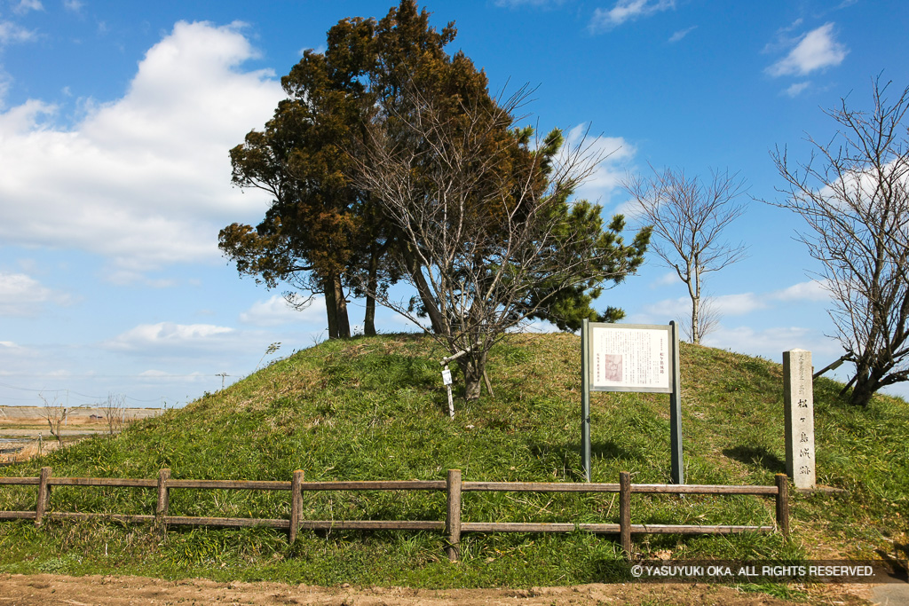 松ヶ島城本丸伝天守台
