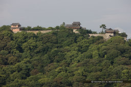 ｜高解像度画像サイズ：5616 x 3744 pixels｜写真番号：1P3J3203｜撮影：Canon EOS-1Ds Mark III