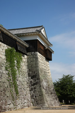 ｜高解像度画像サイズ：3744 x 5616 pixels｜写真番号：1P3J3803｜撮影：Canon EOS-1Ds Mark III