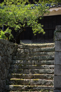 ｜高解像度画像サイズ：3744 x 5616 pixels｜写真番号：1P3J4078｜撮影：Canon EOS-1Ds Mark III