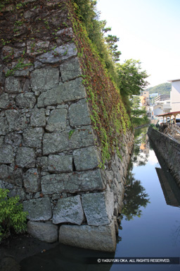二の丸船入櫓跡石垣 | 高解像度画像サイズ：3588 x 5382 pixels | 写真番号：1P3J5278 | 撮影：Canon EOS-1Ds Mark III