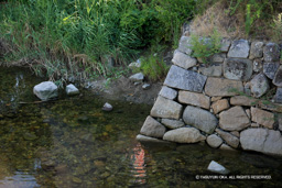 東大手門付近の水刎（みずはね）・水の流れを緩和する石垣 | 高解像度画像サイズ：5616 x 3744 pixels | 写真番号：1P3J5393 | 撮影：Canon EOS-1Ds Mark III