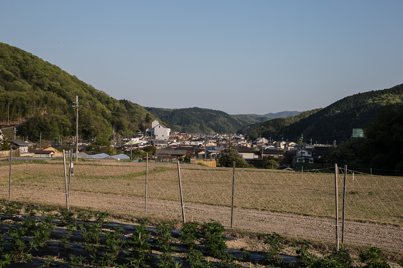 陣屋跡から城下町を望む