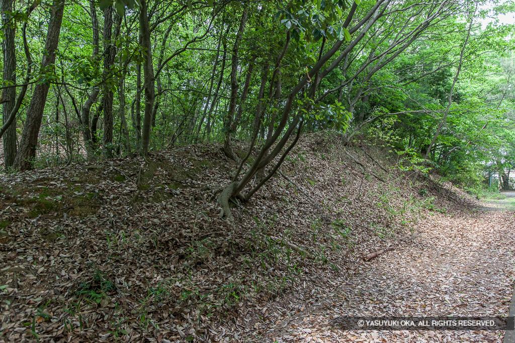 鷹尾山城・土塁