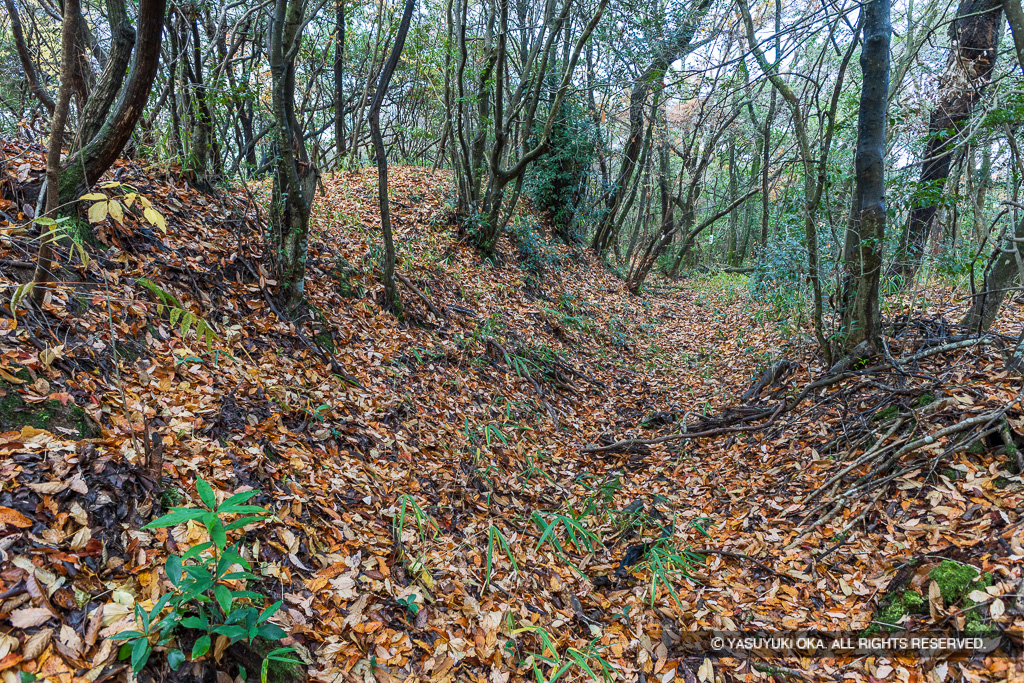 這田村法界寺山ノ上付城・主郭土塁と横堀（北側）