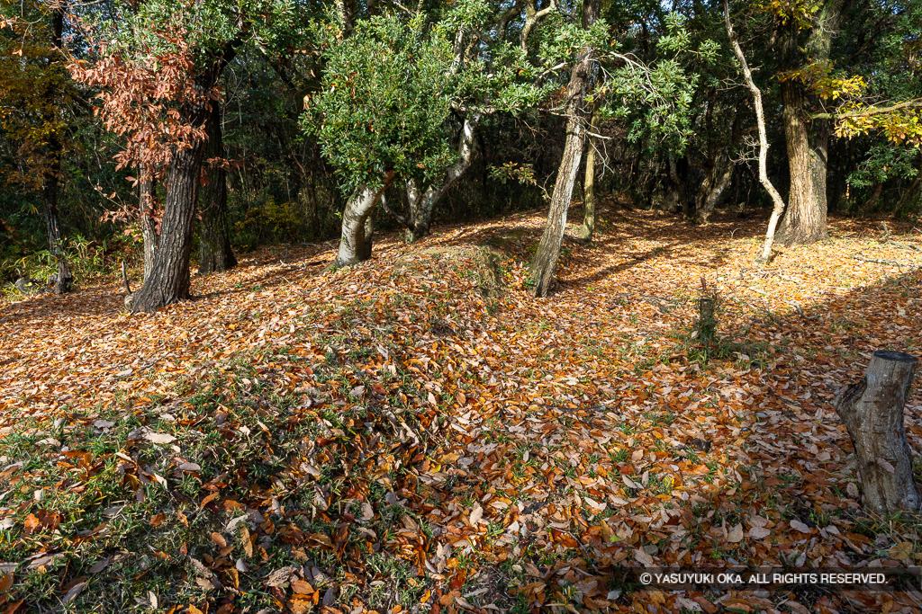 朝日ヶ丘多重土塁