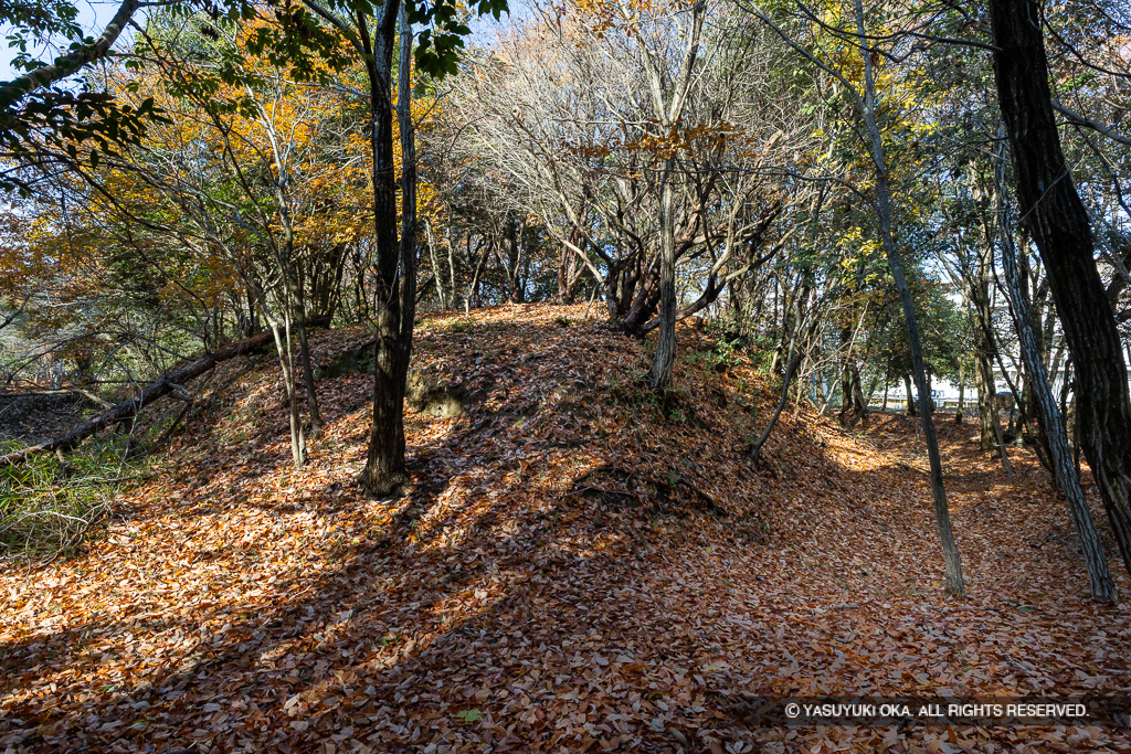 高木大塚城・中心部の墳墓