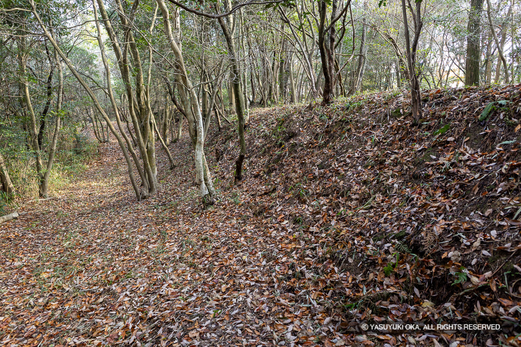 シクノ谷峯構付城・主郭土塁（北）