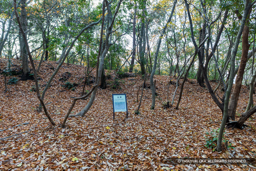 鷹尾山城・主郭