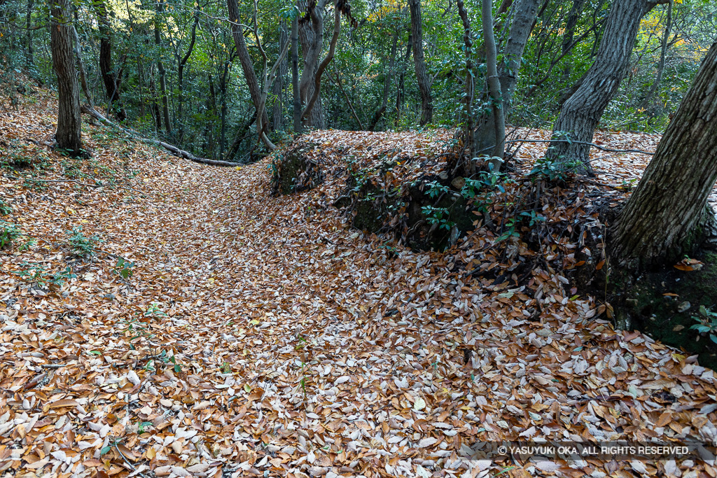 鷹尾山城・主郭南空掘