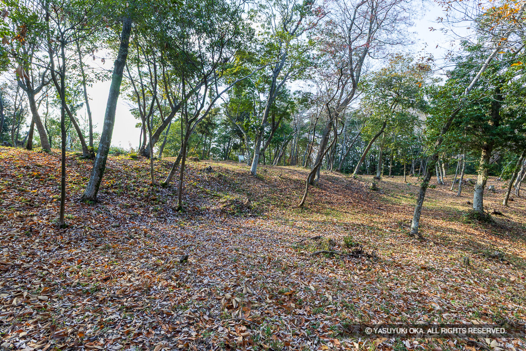 平井山ノ上付城