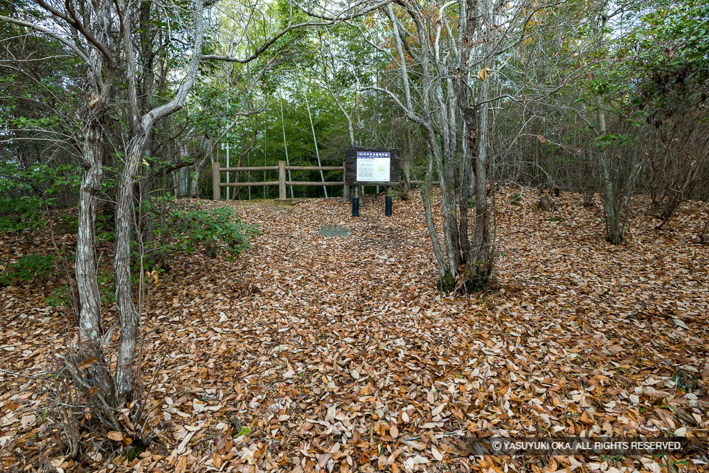 平井村中村間ノ山付城（竹中半兵衛陣所）