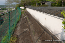 上の丸模擬土塀 | 高解像度画像サイズ：4550 x 3033 pixels | 写真番号：1P3J6222 | 撮影：Canon EOS-1Ds Mark III