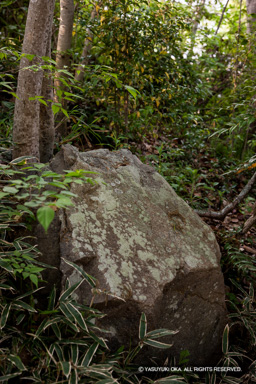 本丸の残石 | 高解像度画像サイズ：3744 x 5616 pixels | 写真番号：1P3J6246 | 撮影：Canon EOS-1Ds Mark III