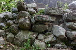 本丸の残石 | 高解像度画像サイズ：5385 x 3590 pixels | 写真番号：1P3J6254 | 撮影：Canon EOS-1Ds Mark III