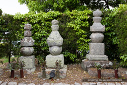 姫路城主池田利隆・伊木忠繁と母の供養塔・正入寺 | 高解像度画像サイズ：5274 x 3516 pixels | 写真番号：1P3J6443 | 撮影：Canon EOS-1Ds Mark III