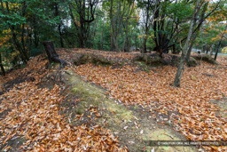 高木大山付城 | 高解像度画像サイズ：8192 x 5464 pixels | 写真番号：6F1A7013 | 撮影：Canon EOS R5m2
