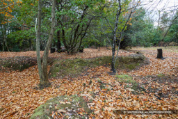 高木大山付城 | 高解像度画像サイズ：8192 x 5464 pixels | 写真番号：6F1A7015 | 撮影：Canon EOS R5m2