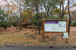 高木大山付城 | 高解像度画像サイズ：8192 x 5464 pixels | 写真番号：6F1A7017 | 撮影：Canon EOS R5m2