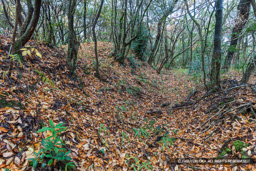 這田村法界寺山ノ上付城・主郭土塁と横堀（北側） | 高解像度画像サイズ：8192 x 5464 pixels | 写真番号：6F1A7046 | 撮影：Canon EOS R5m2