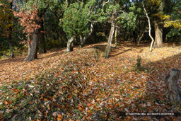 朝日ヶ丘多重土塁 | 高解像度画像サイズ：8192 x 5464 pixels | 写真番号：6F1A7071 | 撮影：Canon EOS R5m2