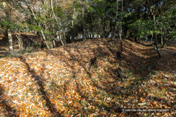 高木大塚城・土塁・空掘 | 高解像度画像サイズ：8192 x 5464 pixels | 写真番号：6F1A7078 | 撮影：Canon EOS R5m2