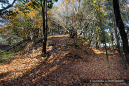 高木大塚城・中心部の墳墓 | 高解像度画像サイズ：8192 x 5464 pixels | 写真番号：6F1A7087 | 撮影：Canon EOS R5m2