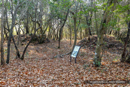 シクノ谷峯構付城・曲輪I主郭虎口 | 高解像度画像サイズ：8192 x 5464 pixels | 写真番号：6F1A7104 | 撮影：Canon EOS R5m2