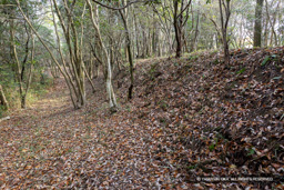 シクノ谷峯構付城・主郭土塁（北） | 高解像度画像サイズ：8192 x 5464 pixels | 写真番号：6F1A7124 | 撮影：Canon EOS R5m2