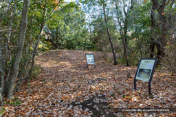 明石道峯構付城・西郭 | 高解像度画像サイズ：8192 x 5464 pixels | 写真番号：6F1A7129 | 撮影：Canon EOS R5m2