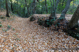 鷹尾山城・主郭南空掘 | 高解像度画像サイズ：8192 x 5464 pixels | 写真番号：6F1A7185 | 撮影：Canon EOS R5m2