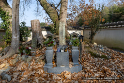 竹中半兵衛の墓 | 高解像度画像サイズ：7849 x 5235 pixels | 写真番号：6F1A7204 | 撮影：Canon EOS R5m2