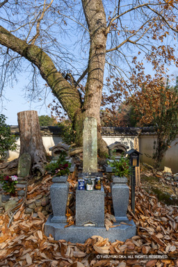 竹中半兵衛の墓 | 高解像度画像サイズ：5378 x 8063 pixels | 写真番号：6F1A7206 | 撮影：Canon EOS R5m2